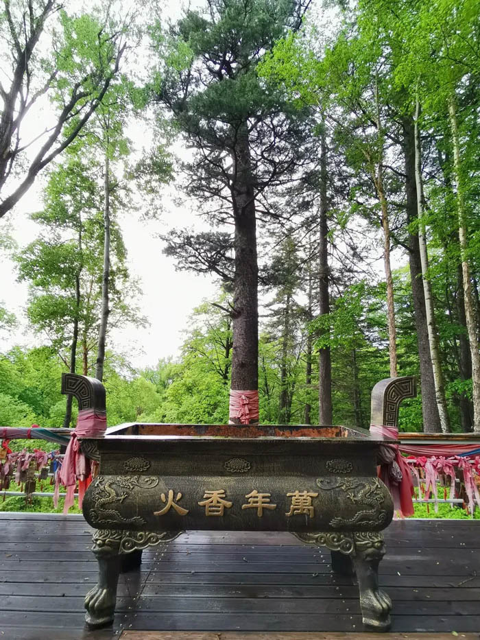 【夢(mèng)想聚團(tuán)隊(duì) 團(tuán)隊(duì)創(chuàng)輝煌】西微雅團(tuán)建活動(dòng)——長白山之旅(圖4) 【夢(mèng)想聚團(tuán)隊(duì) 團(tuán)隊(duì)創(chuàng)輝煌】西微雅團(tuán)建活動(dòng)——長白山之旅(圖4)