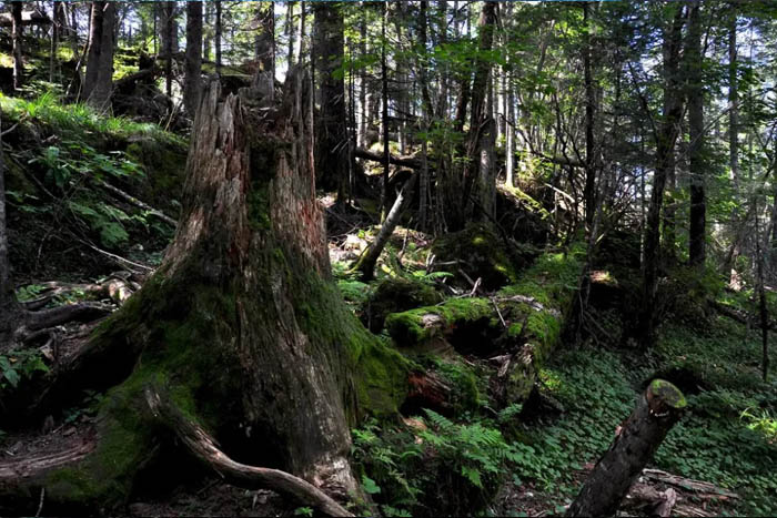 【夢(mèng)想聚團(tuán)隊(duì) 團(tuán)隊(duì)創(chuàng)輝煌】西微雅團(tuán)建活動(dòng)——長白山之旅(圖13) 【夢(mèng)想聚團(tuán)隊(duì) 團(tuán)隊(duì)創(chuàng)輝煌】西微雅團(tuán)建活動(dòng)——長白山之旅(圖13)