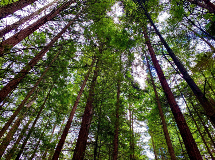 【夢(mèng)想聚團(tuán)隊(duì) 團(tuán)隊(duì)創(chuàng)輝煌】西微雅團(tuán)建活動(dòng)——長白山之旅(圖18) 【夢(mèng)想聚團(tuán)隊(duì) 團(tuán)隊(duì)創(chuàng)輝煌】西微雅團(tuán)建活動(dòng)——長白山之旅(圖18)