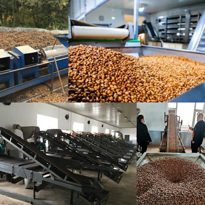 【夢(mèng)想聚團(tuán)隊(duì) 團(tuán)隊(duì)創(chuàng)輝煌】西微雅團(tuán)建活動(dòng)——長白山之旅(圖20) 【夢(mèng)想聚團(tuán)隊(duì) 團(tuán)隊(duì)創(chuàng)輝煌】西微雅團(tuán)建活動(dòng)——長白山之旅(圖20)