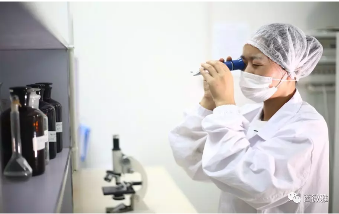 珍貴的果脯-藍莓干(圖13) 珍貴的果脯-藍莓干(圖13)