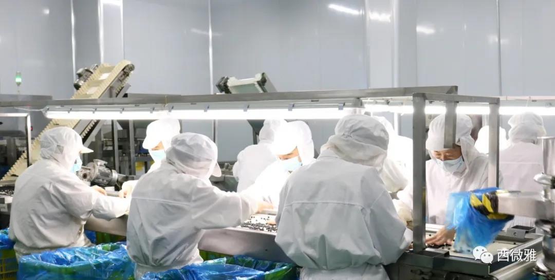 喬遷之喜——西微雅喬遷圓滿結束現(xiàn)已正式投入生產(圖6) 喬遷之喜——西微雅喬遷圓滿結束現(xiàn)已正式投入生產(圖6)