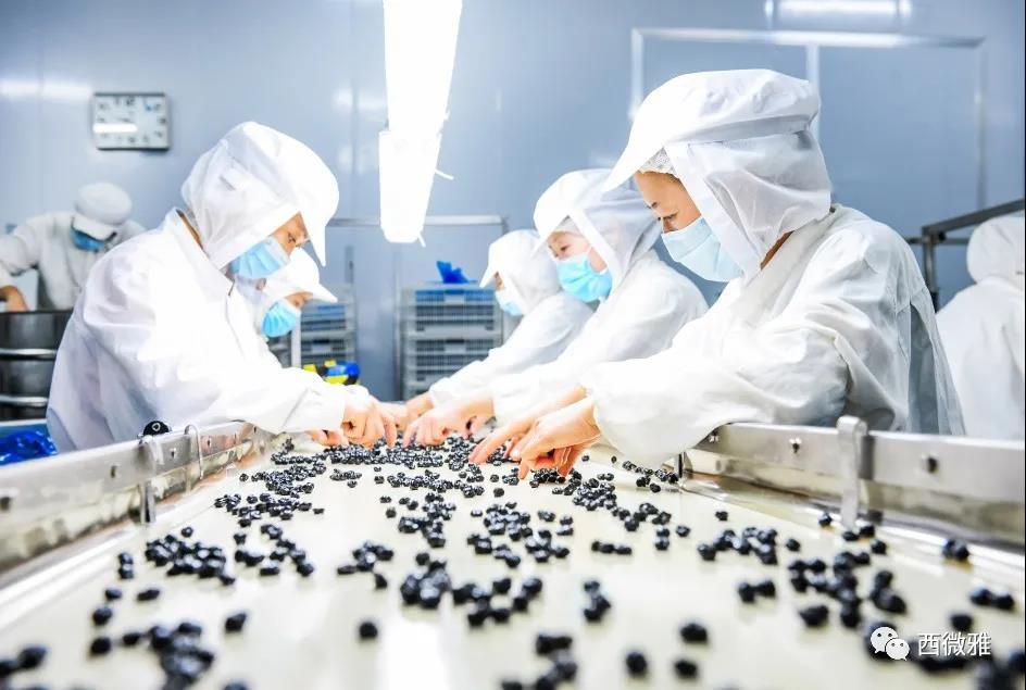 喬遷之喜——西微雅喬遷圓滿結束現(xiàn)已正式投入生產(圖8) 喬遷之喜——西微雅喬遷圓滿結束現(xiàn)已正式投入生產(圖8)