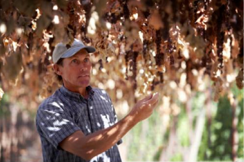 西微雅邀請(qǐng)美國(guó)加州葡萄干管理委員會(huì)陸老師為員工進(jìn)行產(chǎn)品培訓(xùn)(圖7) 西微雅邀請(qǐng)美國(guó)加州葡萄干管理委員會(huì)陸老師為員工進(jìn)行產(chǎn)品培訓(xùn)(圖7)