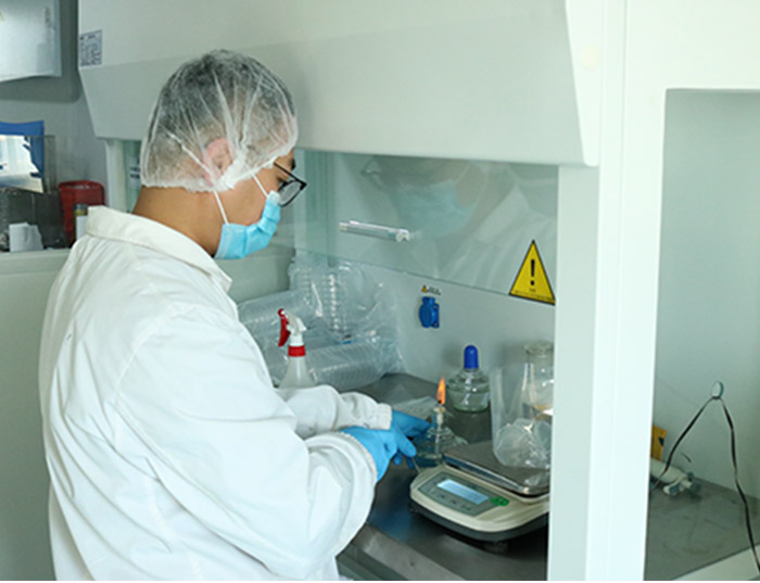 扁桃仁片 扁桃仁片