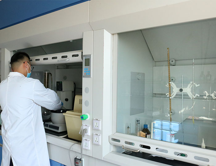 扁桃仁片 扁桃仁片