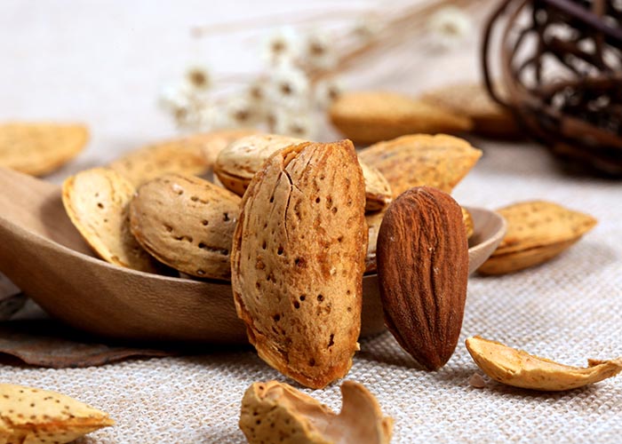 巴坦木碎 巴坦木碎