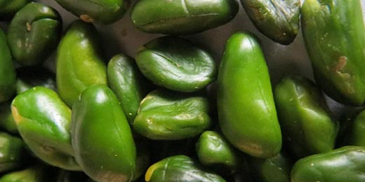 開心果醬 開心果醬