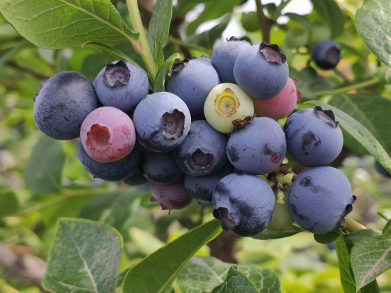 2022年青島西微雅企業(yè)團(tuán)建活動(dòng)圓滿結(jié)束(圖2) 2022年青島西微雅企業(yè)團(tuán)建活動(dòng)圓滿結(jié)束(圖2)